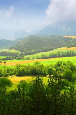 Book cover for The Rural Countryside of Eastern France