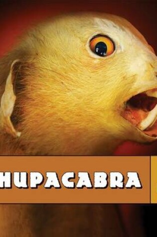 Cover of Chupacabra