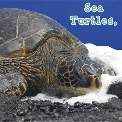 Book cover for Sea Turtles, What Do You Do?