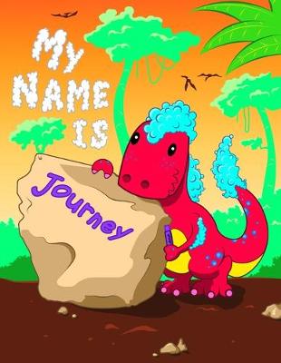 Book cover for My Name is Journey