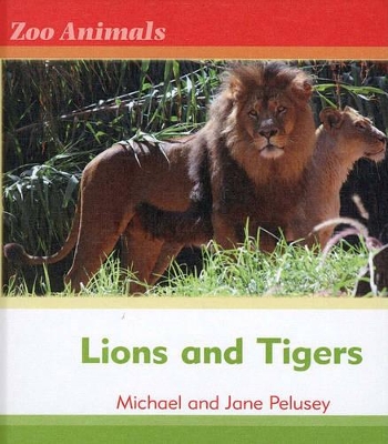 Book cover for Lions and Tigers