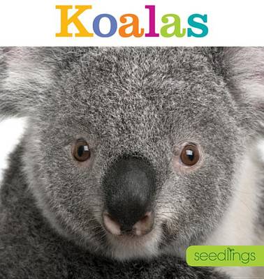 Book cover for Koalas