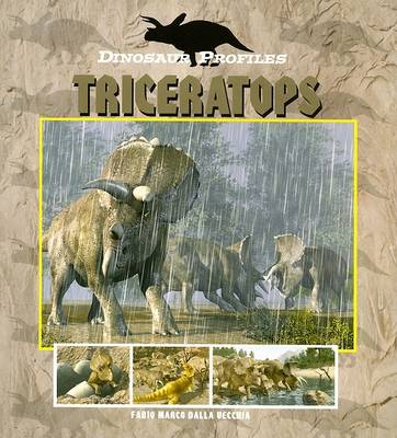 Book cover for Triceratops