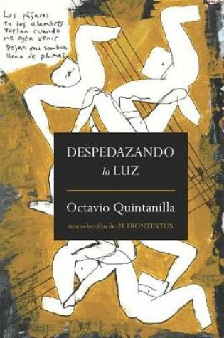 Cover of Despedazando La Luz