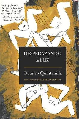 Book cover for Despedazando La Luz