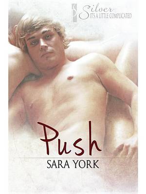 Book cover for Push