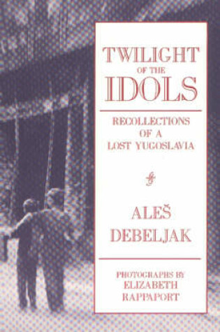 Cover of Twilight of the Idols