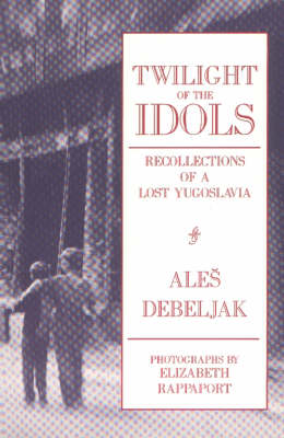 Book cover for Twilight of the Idols