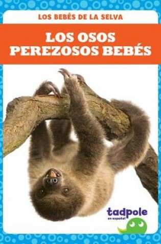 Cover of Los Osos Perezosos Bebés (Sloth Babies)