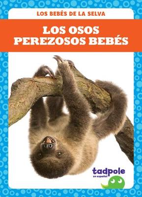 Cover of Los Osos Perezosos Bebés (Sloth Babies)