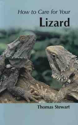 Cover of How to Care for Your Lizard