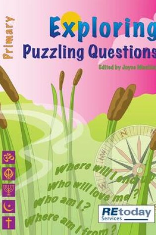 Cover of Puzzling Questions