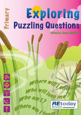 Book cover for Puzzling Questions