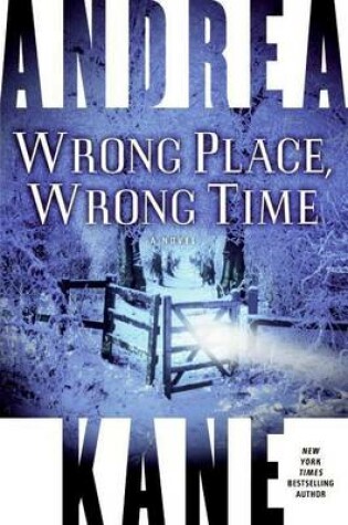 Cover of Wrong Place, Wrong Time