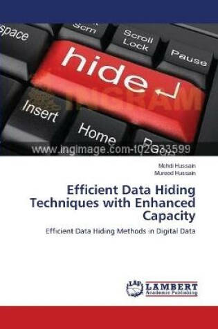 Cover of Efficient Data Hiding Techniques with Enhanced Capacity