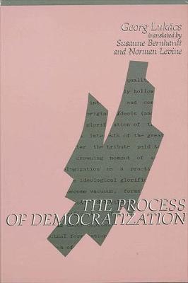 Book cover for The Process of Democratization