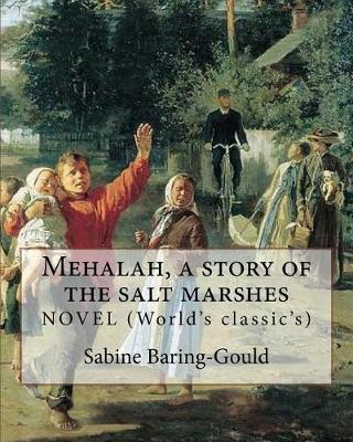 Book cover for Mehalah, a story of the salt marshes, By