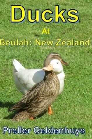 Cover of Ducks At Beulah New Zealand