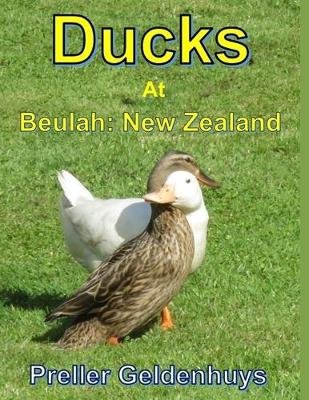 Book cover for Ducks At Beulah New Zealand