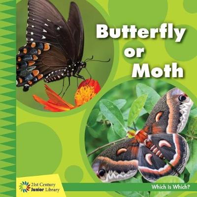 Cover of Butterfly or Moth