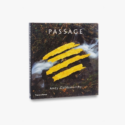 Book cover for Passage: Andy Goldsworthy