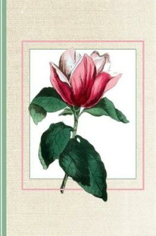 Cover of Vintage Magnolia Flower