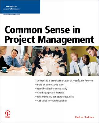 Book cover for Common Sense in Project Management