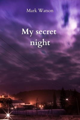 Book cover for My secret night