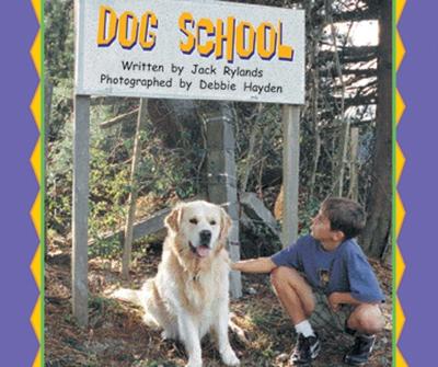 Book cover for Dog School (level 17)