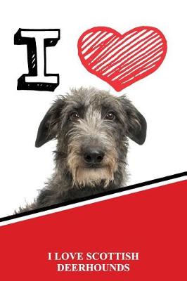 Book cover for I Love Scottish Deerhounds