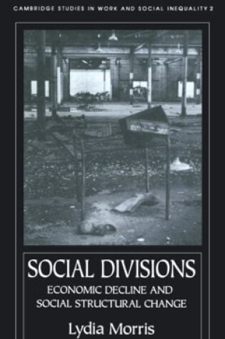 Cover of Social Divisions