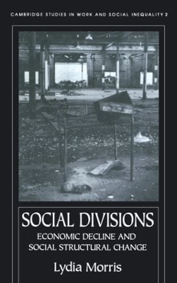 Book cover for Social Divisions