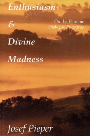 Cover of Enthusiasm And Divine Madness