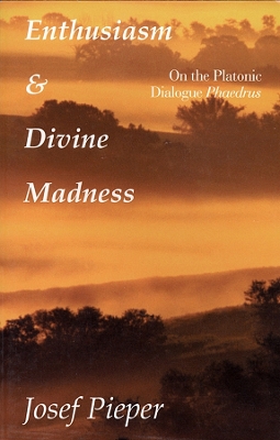 Book cover for Enthusiasm And Divine Madness