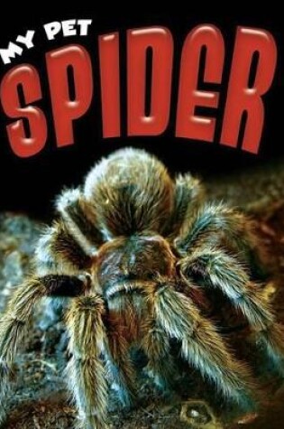 Cover of Spider