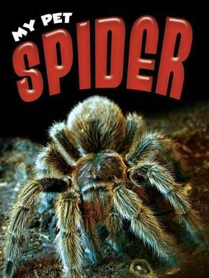 Cover of Spider