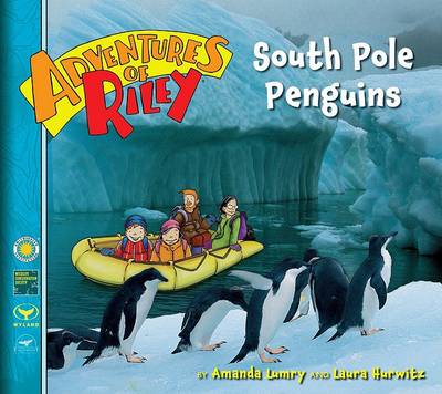 Book cover for South Pole Penguins