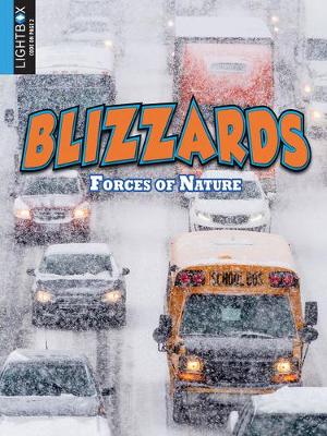 Book cover for Blizzards