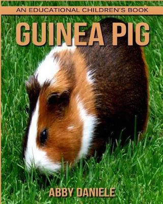 Book cover for Guinea pig! An Educational Children's Book about Guinea pig with Fun Facts & Photos