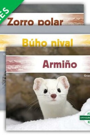Cover of Animales del Ártico (Arctic Animals) (Set)