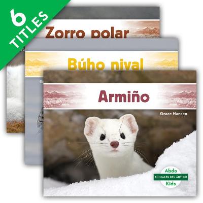 Book cover for Animales del Artico (Arctic Animals) (Set)