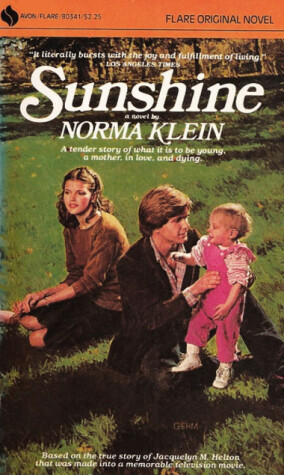 Book cover for Sunshine