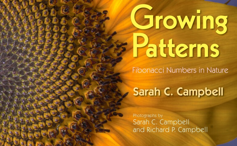 Cover of Growing Patterns