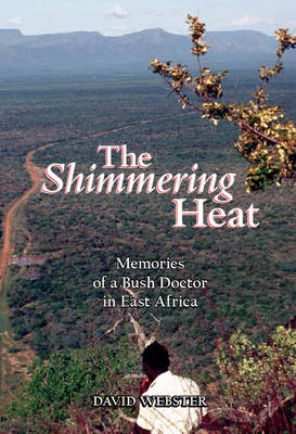 Book cover for The Shimmering Heat