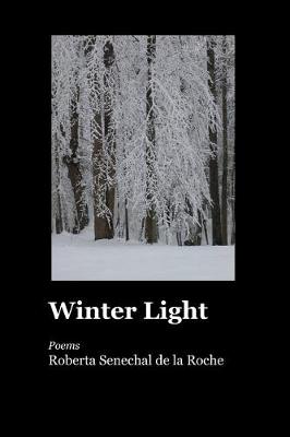 Book cover for Winter Light