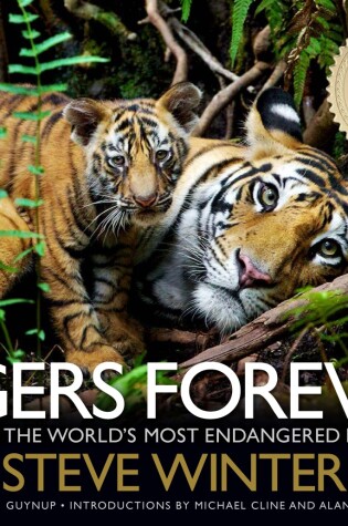 Cover of Tigers Forever