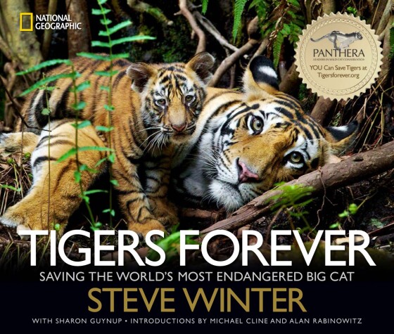 Book cover for Tigers Forever