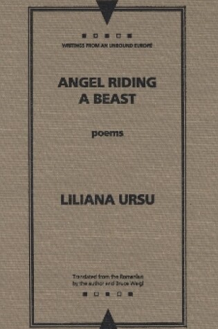 Cover of Angel Riding a Beast