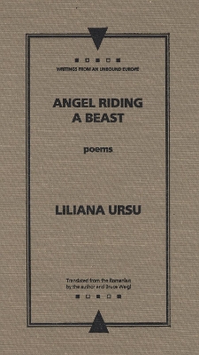 Cover of Angel Riding a Beast