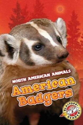 Cover of American Badgers